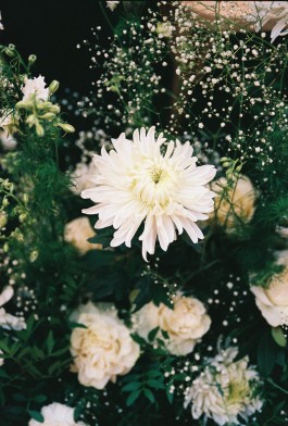 Puy Cermeño Fotografía