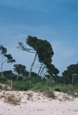 Puy Cermeño Fotografía