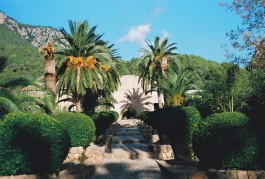 Puy Cermeño Fotografía