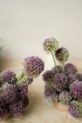 Puy Cermeño Fotografía