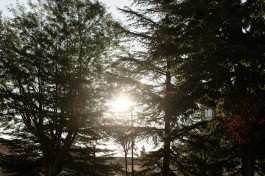 Puy Cermeño Fotografía