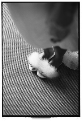 Puy Cermeño Fotografía