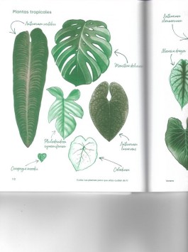 Puy Cermeño Fotografía