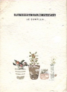 Puy Cermeño Fotografía