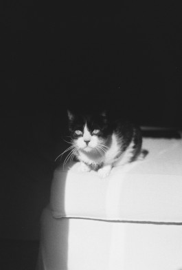 Puy Cermeño Fotografía