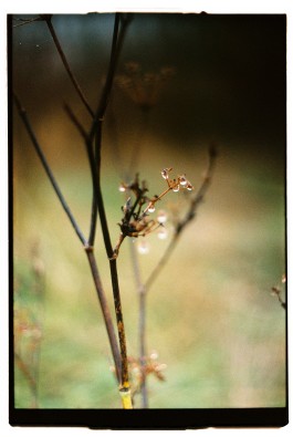 Puy Cermeño Fotografía
