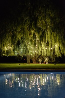 Puy Cermeño Fotografía