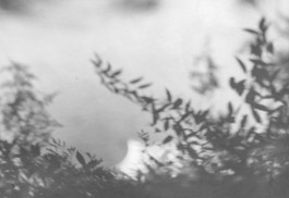 Puy Cermeño Fotografía